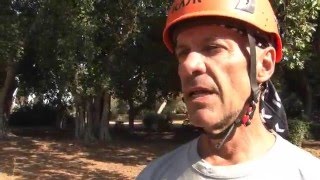 אליפות ישראל בטיפוס עצים ITC- Israeli Tree Climbing