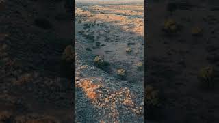 The Kalahari's Red Dunes from above. #drone #africa #kalahari #travel #safari #desert #djimini3pro