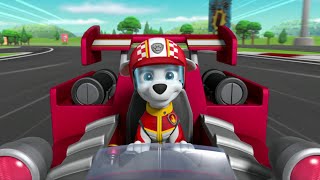 The Winner Of The Race Is Marshall - Paw Patrol Ready Race Rescue 2019
