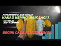 Cara CEK  Naik Turun Harga Biji KAKAO/ COKLAT kering🔴