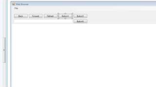 Basic web browser tutorial - Visual Basic 2008