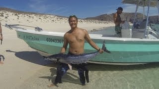 How To Fillet a Wahoo