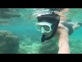 snorkeling at a hidden and rare sandy beach on sesoko island okinawa 2020 06 06