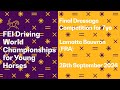 🔴LIVE | Final Dressage Competition for 7yo horses I FEI Driving World Championships for Young Horses