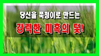 당신을 쭉정이로 만드는 강력한 미혹의 덫!