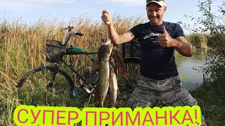 ЛУЧШАЯ МОЯ ПРИМАНКА для ЩУКИ и ОКУНЯ