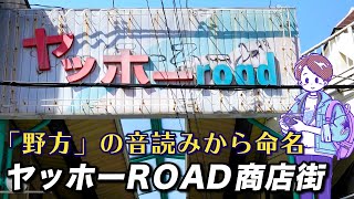 【 野方ノスタルジー】東京都中野区野方のヤッホーROAD商店街 - レトロアーケード商店街