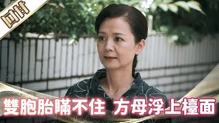 《好戲回甘》市井豪門 EP156 雙胞胎瞞不住  方母浮上檯面