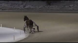 Harness Racing Accident - 19 yo boy just wont let go!