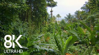 Incredible Jungle Sounds 8K - Exotic Birds Singing in Tropical Rainforest 8 HOURS - Part #1