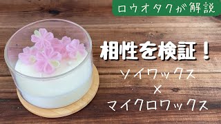 【検証】ソイキャンドルと石油系キャンドルの相性【手作りキャンドル・ソイワックス・マイクロワックス】