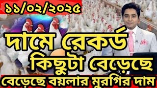 কিছু টা বেড়েছে বয়লার মুরগির দাম : ১১/০২/২০২৫ বয়লার ও সোনালী মুরগির পাইকারি বাজার : 11 February 2025