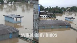 সিলেটের গোয়াইনঘাট যেন পানির শহর, বন্যা পরিস্থিতির সর্বশেষ চিত্র | sylhet daily times