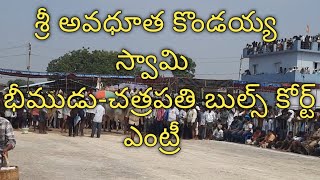 భీముడు చత్రపతి బుల్స్ కోర్టు ఎంట్రీ| శ్రీ అవధూత కొండయ్య స్వామి జాక్పాట్|subscribe|mujibmultivlogs|