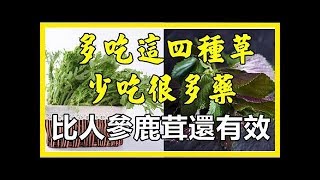 平時多吃『這 4 種 草』，讓你減少吃很多葯，比吃人蔘鹿茸效果好！