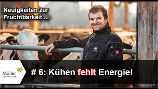 Kühen fehlt Energie! Teil 6 von 10 aus Expertenvortrag über Brunsterkennung + Fruchtbarkeit der Kuh