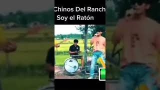 Los chinos del rancho soy el raton 🐲🤠🎶 Parte 2