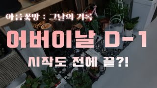 [그날의 기록] 어버이날 D-1, 사상초유의 사태! 시작도 전에 매진 임박! | 꽃집창업자분들 필독영상!