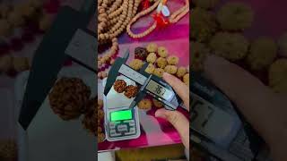 11 mukhi Rudraksha Mala ' wats aap 8146057190,7719475397