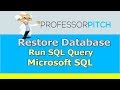 SQL -  Restore DB from Query