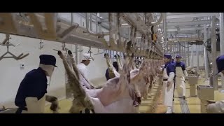 Incredible Modern Sheep Processing Factory Technology   Factory Automatic Process Millions Sheep   Y