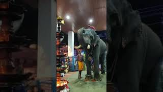 Akkikavu Karthikeyan at Kattussery temple