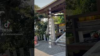 日本中の金運が集まる場所【都久夫須麻神社(滋賀県竹生島)】 #パワースポット