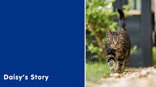 Daisy's Story | Blue Cross