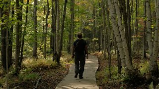 Camping and Hiking Alone at Killbear Provincial Park | Ontario, Canada