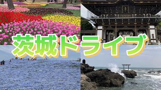 【茨城ドライブ】ひたちなか海浜公園と神磯の鳥居に行ってきました