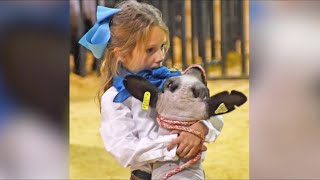 Gillespie County Youth Livestock Show raises $100,000 for 8-year-old battling cancer