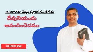 (054) అంశము: దేవునియందు ఆనందించెదము