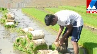 Engineering student's success story in paddy cultivation | Manorama News