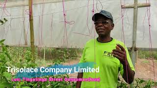 Trisolace Farms Scouting for information Snail Farming Ghana