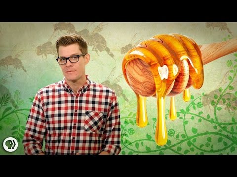 Is honey only made by bees?