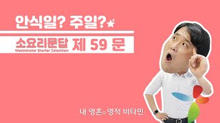 영적 비타민 \