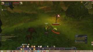 World Of Warcraft 5.0.5 Duel Pala VS Warr lvl50