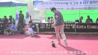 2015.10.17 Yongin Dog Show (21)