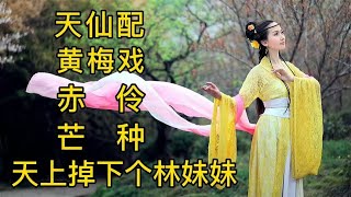 《天仙配》《黄梅戏》《天下掉下个林妹妹》《赤伶》《芒种》经典