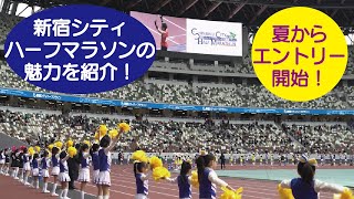 新宿シティハーフマラソンの魅力    次回大会は夏からエントリー開始！