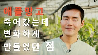 3농장 애플망고가 죽어갔는데 변화하게 만들었던 점 #애플망고 #김농부