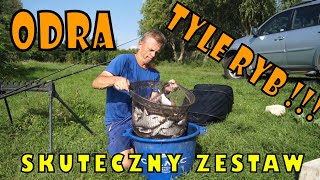 Jak POŁOWIĆ na ODRZE ? dobór SPŁAWIKA ! skuteczna ZANĘTA !