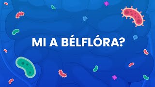 Mi a bélflóra, és miért olyan fontos szervezetünk egészségéhez?