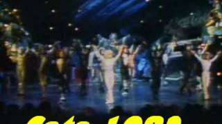 Cats 1982 MUSICAL
