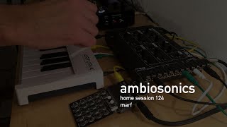 Ambiosonics Session 124, playing chords with Moog Werkstatt 01