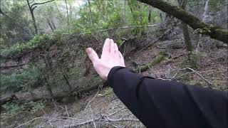 Stevens Canyon Land Slide, Tectonic Block, Part 4