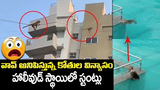 వావ్ కోతుల విన్యాసం | Monkey Viral Stunts From Building to Building Through Wires Goes Viral | TT