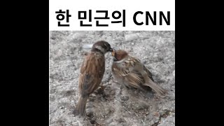 CNN NEWS 2024년 12월 23일 강의