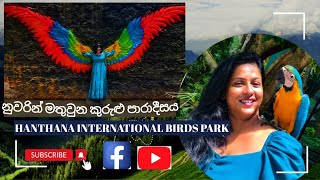 Hanthana Birds Park - Kandy / හන්තාන කුරුලු උයන \\ Hanthana bird park / Sri Lanka - macow