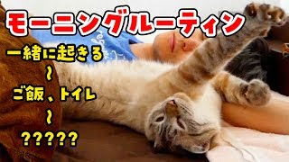 【神回】猫のモーニングルーティンにこの世のかわいさの全てが詰まっていました